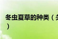 冬蟲夏草的種類（關于冬蟲夏草的種類的介紹）