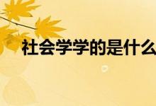 社會學學的是什么內(nèi)容（社會學學什么）