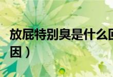 放屁特別臭是什么回事（放屁特別臭是什么原因）