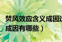 焚風(fēng)效應(yīng)含義成因過(guò)程（焚風(fēng)效應(yīng)是什么意思成因有哪些）