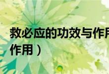 救必應(yīng)的功效與作用及用量（救必應(yīng)的功效與作用）