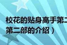 ?；ǖ馁N身高手第二部（關(guān)于?；ǖ馁N身高手第二部的介紹）