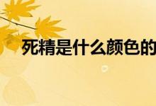 死精是什么顏色的（精子是什么顏色的）