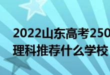 2022山東高考250-260分能報(bào)什么?？疲ㄎ睦砜仆扑]什么學(xué)校）