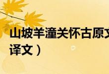山坡羊潼關懷古原文（山坡羊潼關懷古原文及譯文）