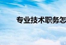 專(zhuān)業(yè)技術(shù)職務(wù)怎么填（具體指什么）
