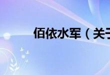 佰依水軍（關于佰依水軍的介紹）