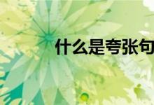 什么是夸張句（夸張句怎么寫(xiě)）
