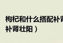枸杞和什么搭配補(bǔ)腎最好（枸杞與啥搭配最能補(bǔ)腎壯陽(yáng)）