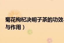 菊花枸杞?jīng)Q明子茶的功效與禁忌（菊花枸杞?jīng)Q明子茶的功效與作用）