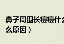 鼻子周圍長痘痘什么原因（鼻子周圍長痘痘什么原因）