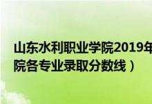 山東水利職業(yè)學院2019年分數(shù)線（2019年山東水利職業(yè)學院各專業(yè)錄取分數(shù)線）