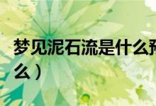 夢見泥石流是什么預(yù)兆（夢見泥石流意思是什么）