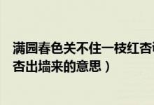 滿園春色關不住一枝紅杏諷刺什么（滿園春色關不住一枝紅杏出墻來的意思）