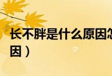 長不胖是什么原因怎么改善(長不胖是什么原因)
