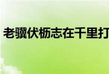 老驥伏櫪志在千里打一數字（老伏志在千里）