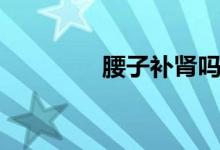 腰子補腎嗎（腰子補腎么）