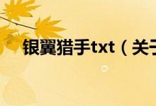 銀翼獵手txt（關于銀翼獵手txt的介紹）
