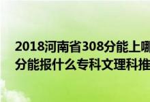 2018河南省308分能上哪些?？疲?022河南高考290-300分能報(bào)什么專科文理科推薦什么學(xué)校）