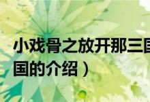 小戲骨之放開那三國（關(guān)于小戲骨之放開那三國的介紹）