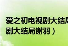 愛之初電視劇大結(jié)局謝羽的結(jié)局（愛之初電視劇大結(jié)局謝羽）