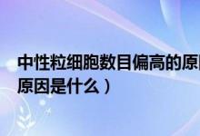 中性粒細胞數(shù)目偏高的原因是什么（中性粒細胞數(shù)目偏高的原因是什么）