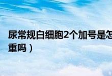 尿常規(guī)白細(xì)胞2個(gè)加號(hào)是怎么回事（尿常規(guī)白細(xì)胞2個(gè)加號(hào)嚴(yán)重嗎）