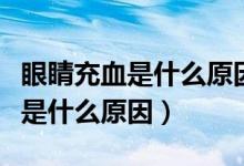 眼睛充血是什么原因用什么眼藥水（眼睛充血是什么原因）