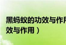 黑螞蟻的功效與作用及食用方法（黑螞蟻的功效與作用）