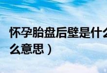 懷孕胎盤(pán)后壁是什么意思（懷孕胎盤(pán)后壁是什么意思）