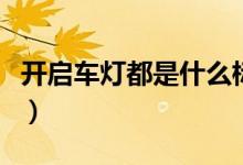 開(kāi)啟車(chē)燈都是什么標(biāo)志（燈的圖標(biāo)分別是什么）