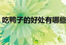 吃鴨子的好處有哪些(吃鴨子的好處和壞處)