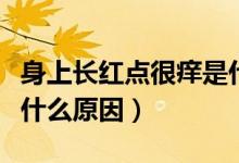 身上長紅點很癢是什么病（身上長紅點很癢是什么原因）