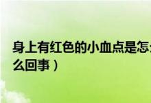 身上有紅色的小血點是怎么回事（身上有紅色的小血點是怎么回事）