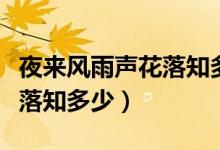 夜來(lái)風(fēng)雨聲花落知多少的意思(夜來(lái)風(fēng)雨聲花落知多少)