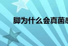 腳為什么會(huì)真菌感染（腳為什么會(huì)臭）