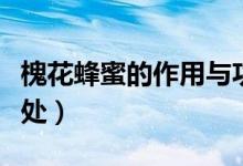 槐花蜂蜜的作用與功效（槐花蜂蜜對人體的好處）