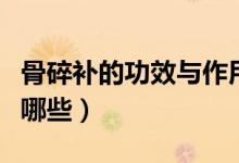 骨碎補(bǔ)的功效與作用（骨碎補(bǔ)的功效與作用有哪些）