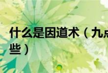 什么是因道術(shù)（九點(diǎn)領(lǐng)導(dǎo)力的主要內(nèi)容包括哪些）