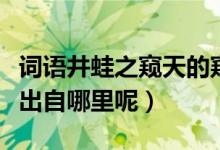 詞語井蛙之窺天的窺是什么意思（井蛙之窺天出自哪里呢）