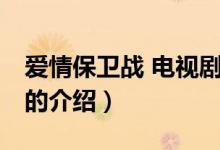 愛情保衛(wèi)戰(zhàn) 電視劇（關(guān)于愛情保衛(wèi)戰(zhàn) 電視劇的介紹）