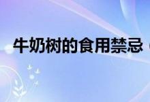 牛奶樹(shù)的食用禁忌（牛奶樹(shù)有什么禁忌嗎）