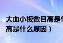 大血小板數(shù)目高是什么意思?。ù笱“鍞?shù)目高是什么原因）