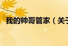 我的帥哥管家（關于我的帥哥管家的介紹）
