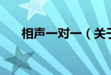 相聲一對(duì)一（關(guān)于相聲一對(duì)一的介紹）