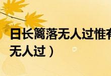 日長(zhǎng)籬落無(wú)人過(guò)惟有蜻蜓蝶飛畫面（日長(zhǎng)籬落無(wú)人過(guò)）