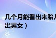 幾個(gè)月能看出來胎兒的發(fā)育正常（幾個(gè)月能看出男女）
