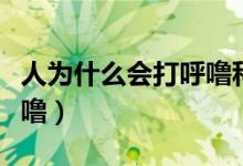 人為什么會打呼嚕科普視頻（人為什么會打呼嚕）