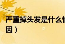嚴重掉頭發(fā)是什么情況（嚴重掉頭發(fā)是什么原因）