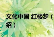 文化中國(guó) 紅樓夢(mèng)(關(guān)于文化中國(guó) 紅樓夢(mèng)的介紹)
